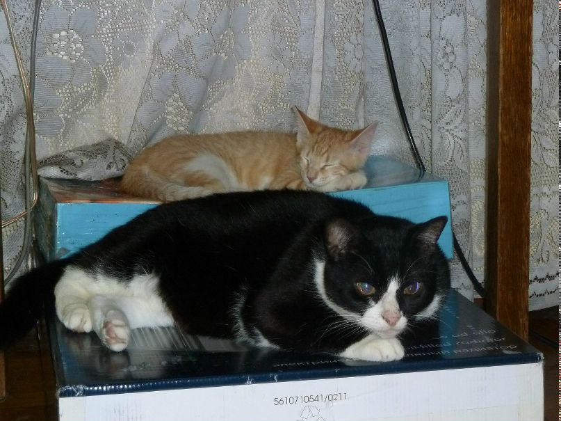 Татьяна Вишневкина | Санкт-Петербург