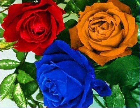 Анна Аперян | Москва