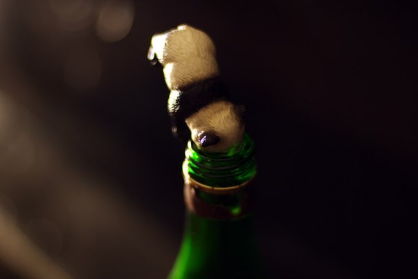 №58, Антон Серебренников, 46 лет, Курск №58, Антон Серебренников, 46 лет, Курск