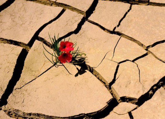 Corazón Espinado | Москва