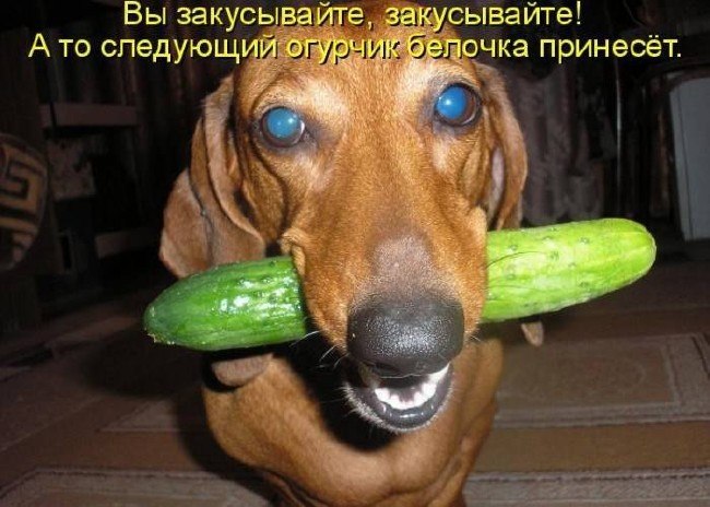 Инна Борисевич | Санкт-Петербург