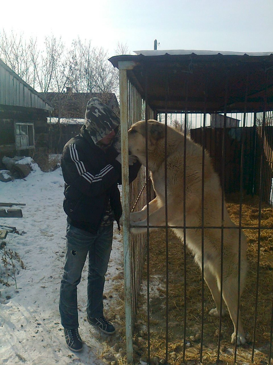 Александр Плотников | Челябинск