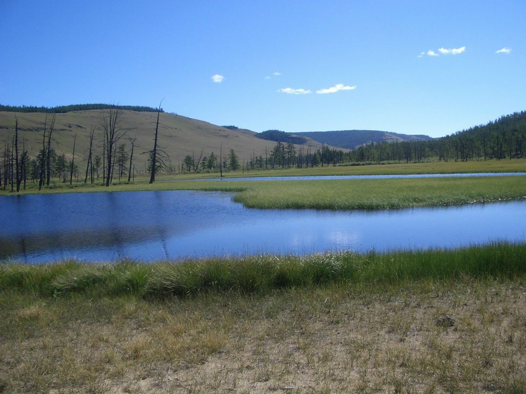 Андрей Шандрук | Иркутск