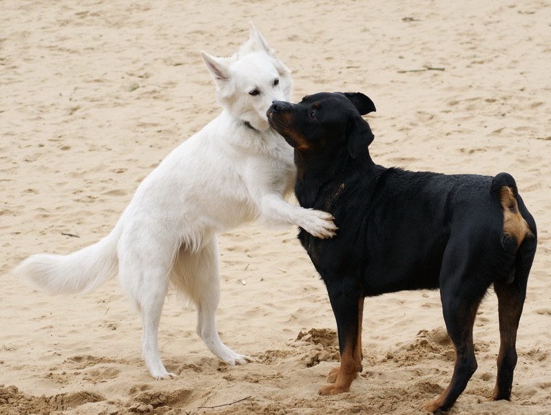 Ольга Перцатий | Энергодар