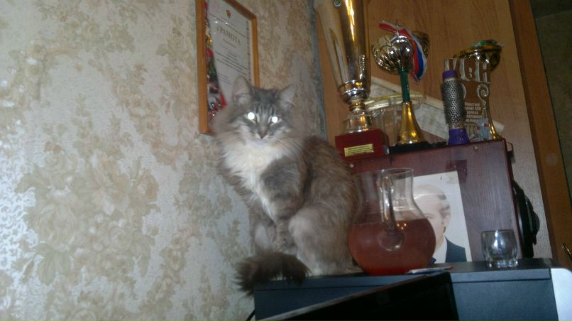 Арсений Войтик quicombo | Дзержинск