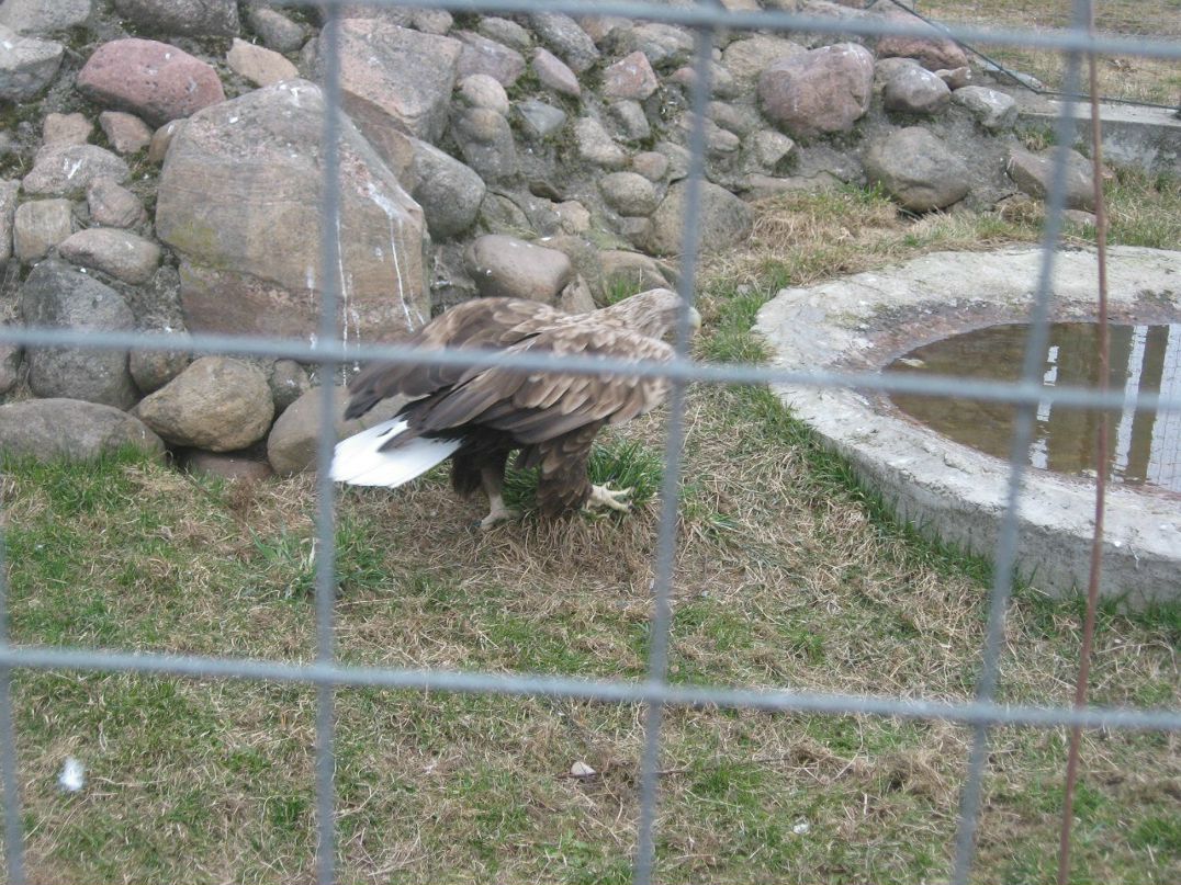 Алексей Николаюк | Брест