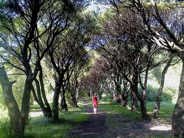 №52, Дарья Лисеенко, 31 год, Milano №52, Дарья Лисеенко, 31 год, Milano