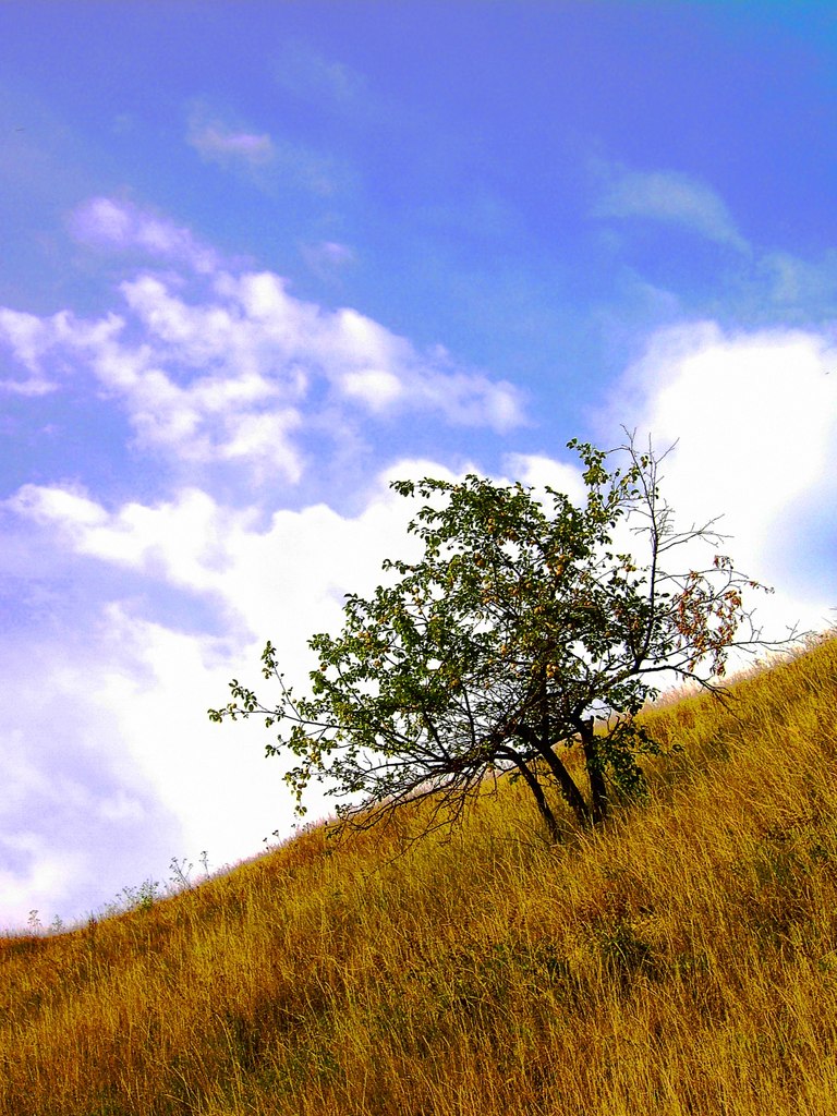 Иван Букланов | Орёл