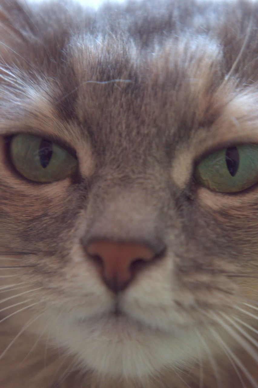 Alex Kolbaskin | Москва