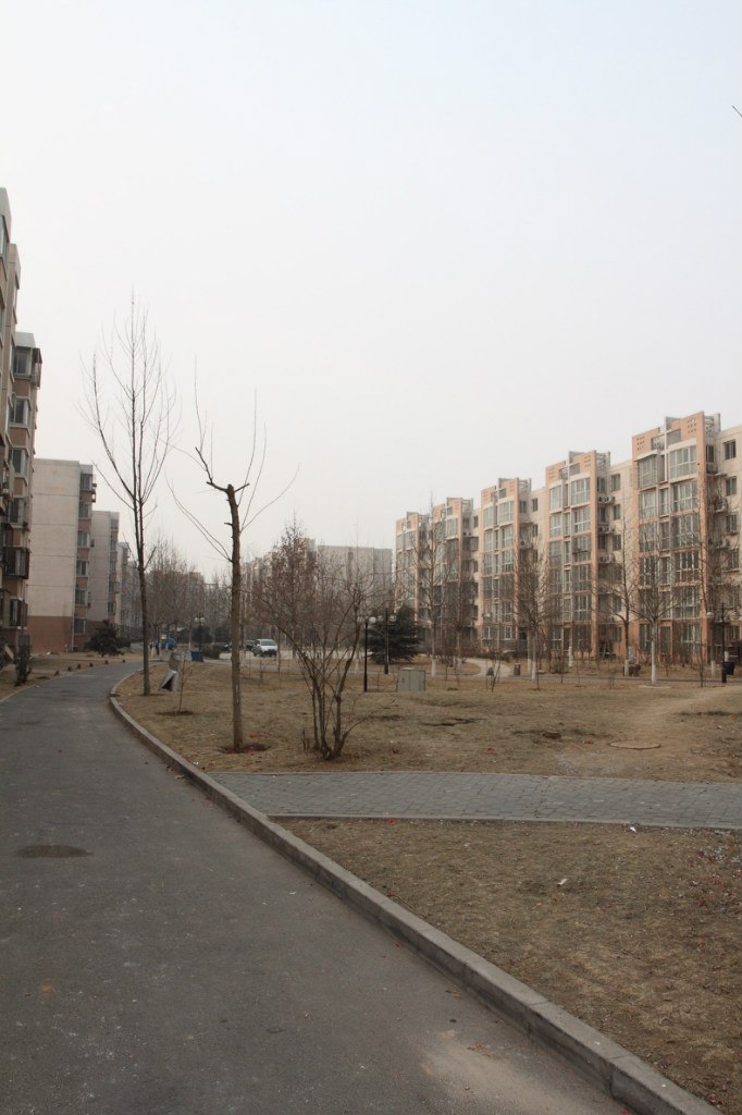 Елена Рогова | Москва