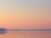 Вовчик Данилюк | Новосибирск