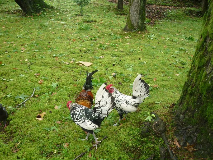 Olga Koroleva | Волгоград