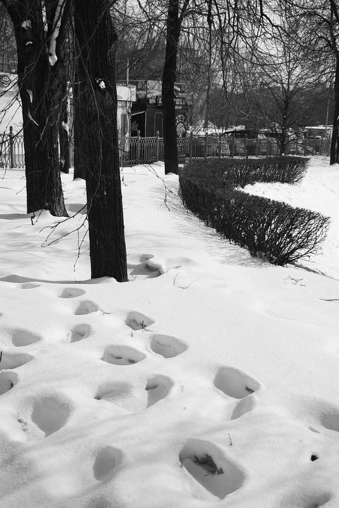 Анна Гжиб | Москва