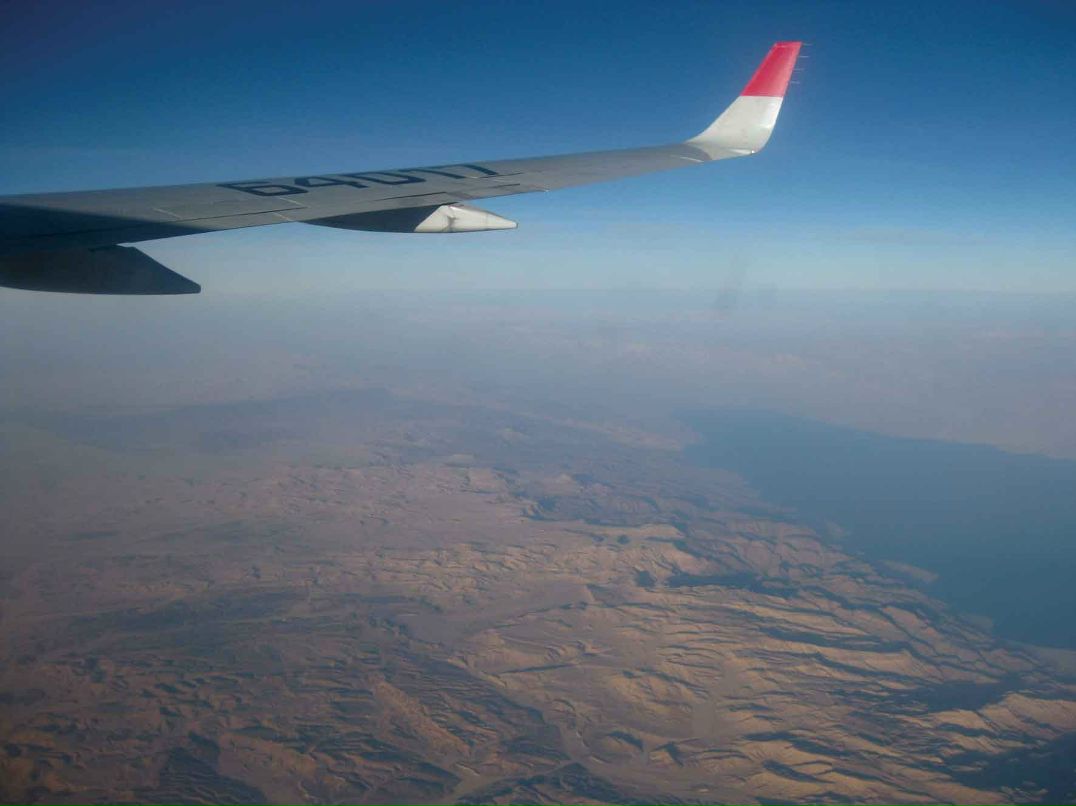 Светлана Калинич *Patitо* | Гатчина