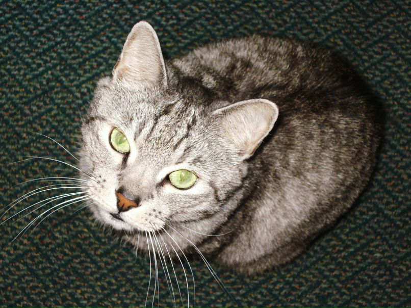 Людмила Мельник | Сланцы