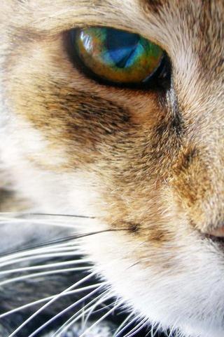 Вадим Сморчков | Воронеж