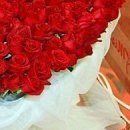 №26, Александр Вдовиченко