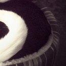 №139, Линда Чёрная, Серпухов №139, Линда Чёрная, Серпухов