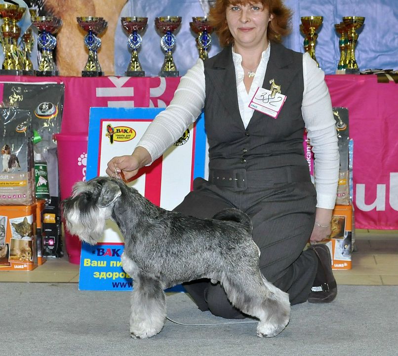 Елена Никитина | Санкт-Петербург