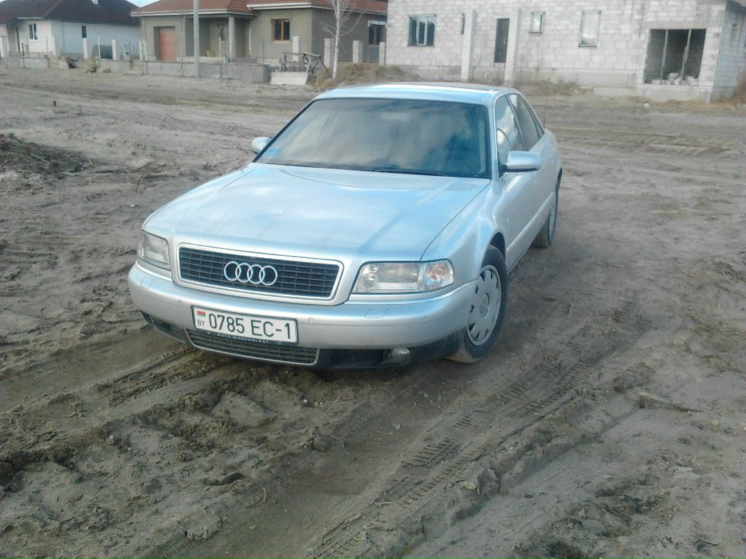 Виталик Данилюк | Брест