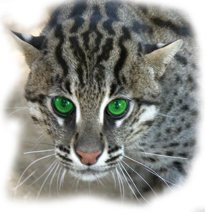 Юрий Годун | Херсон