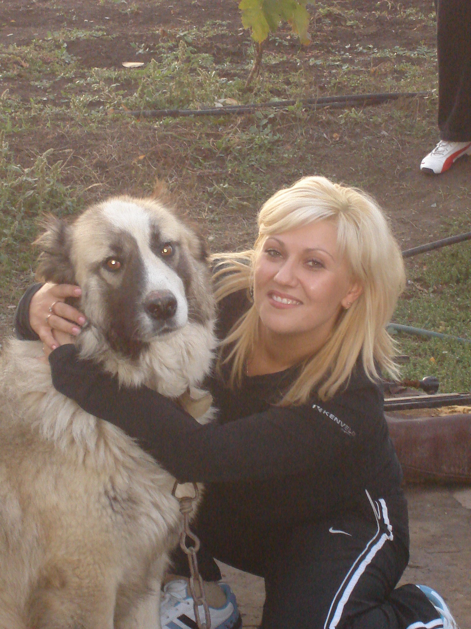 Ольга Вдовиченко, Одесса | Поиск информации