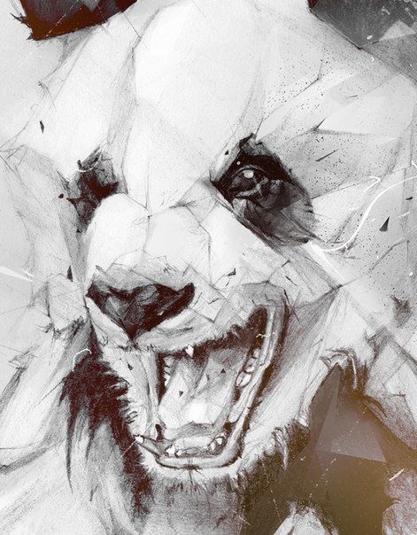 Оксана Кургуз-Федоренко | 