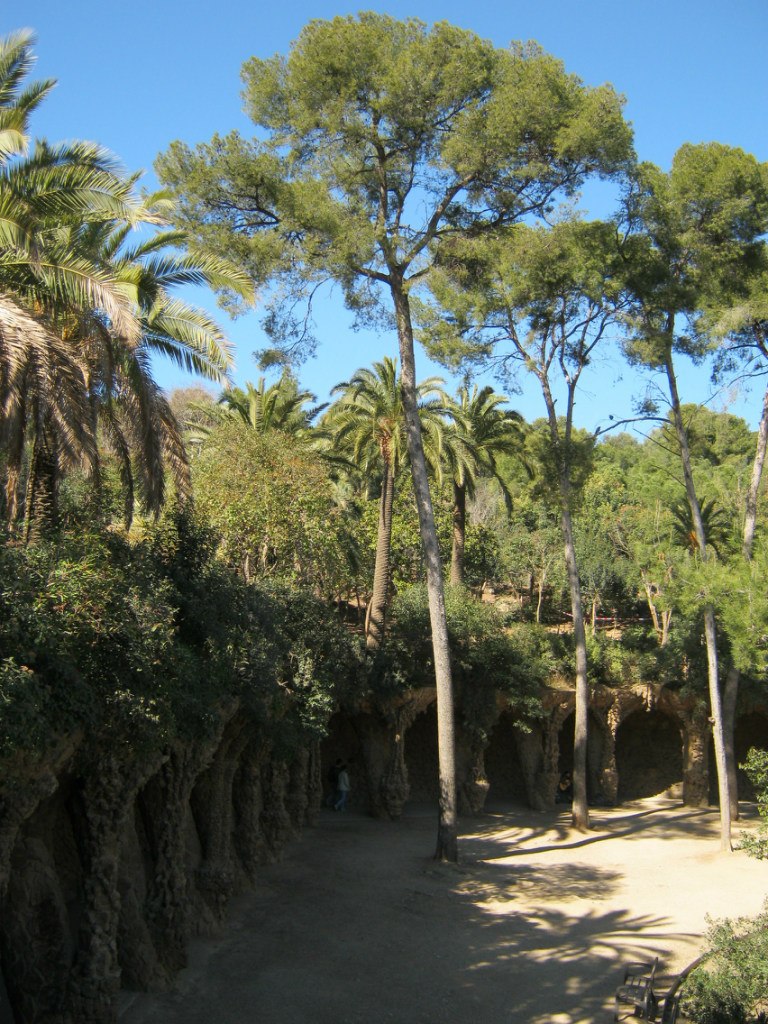 Евгений Козырин | Екатеринбург