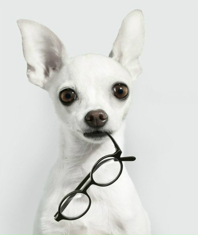 Василий Пролеев | Санкт-Петербург