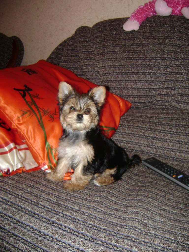 Оксана Лазарева | Белгород