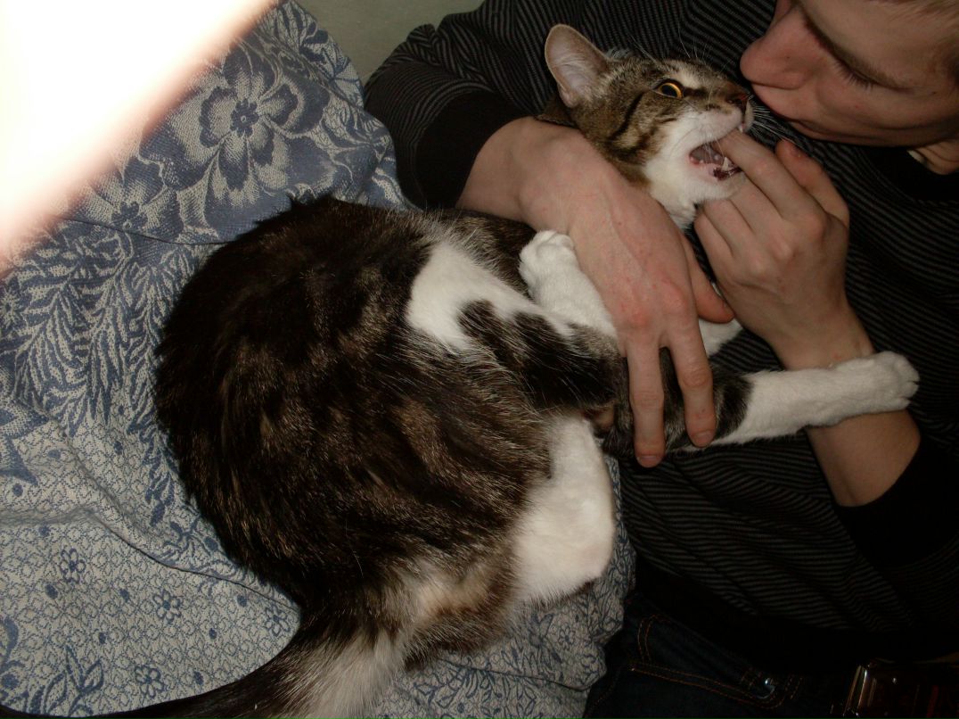 Олег Даутен Николаевич | Санкт-Петербург