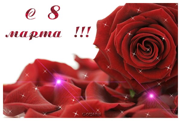 Олег Пруднык | Винница