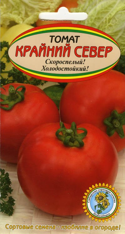 Антон Болотин revived! | Tegucigalpa