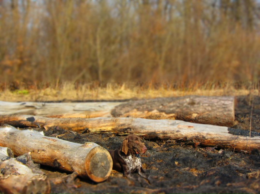 Тарас Пузиняк | Львов