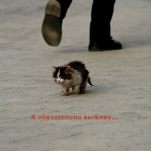 Александр Уванай | Киев