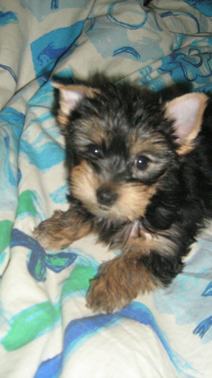 Максим Чмерук | Челябинск