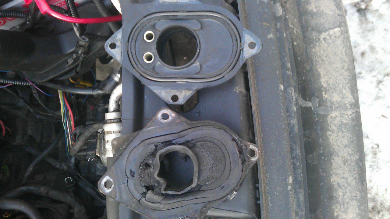 Егор Ткаченко | Москва