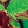 №25 Диана Хамзина 12.05.1999: профиль, фото, статус - ВКонтакте