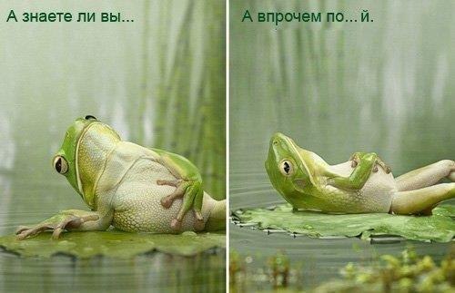 Таня Сидорова | Санкт-Петербург