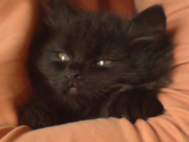 Владимир Жуковский | Клецк