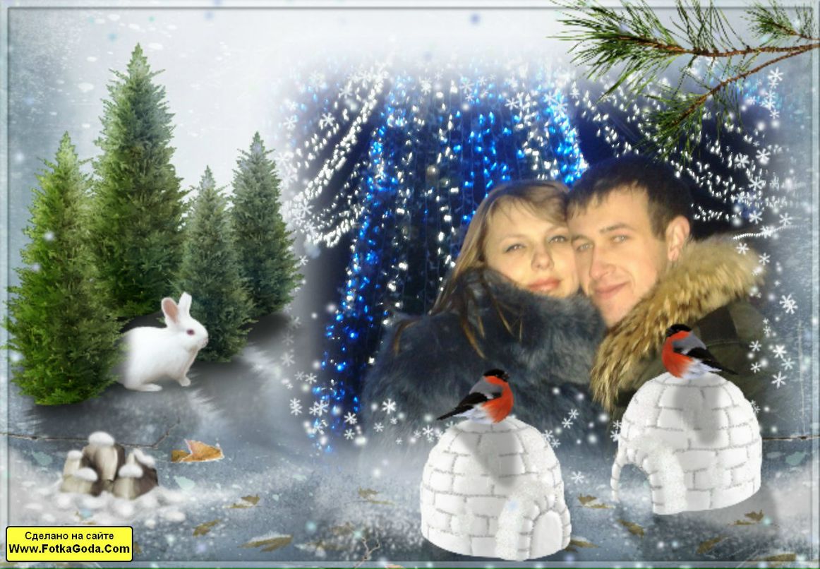 Андрей Тинку | Черновцы