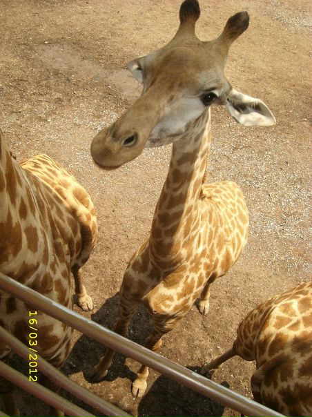 №75, Анна Некрасова №75, Анна Некрасова