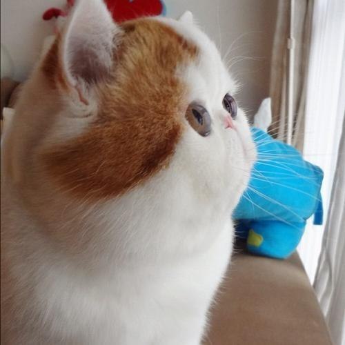 Тимофей Пыряев | Волгоград