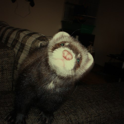 Тёма Денисов Cube | Киев