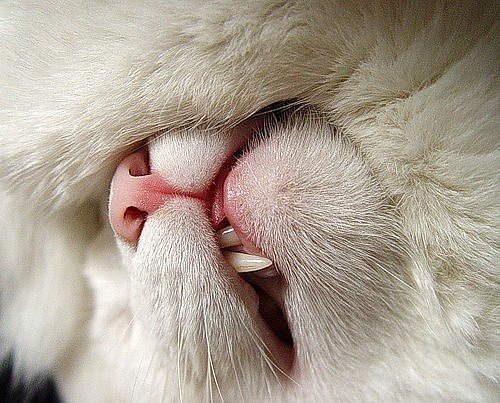 №3, Кирилл Фролов, Москва №3, Кирилл Фролов, Москва