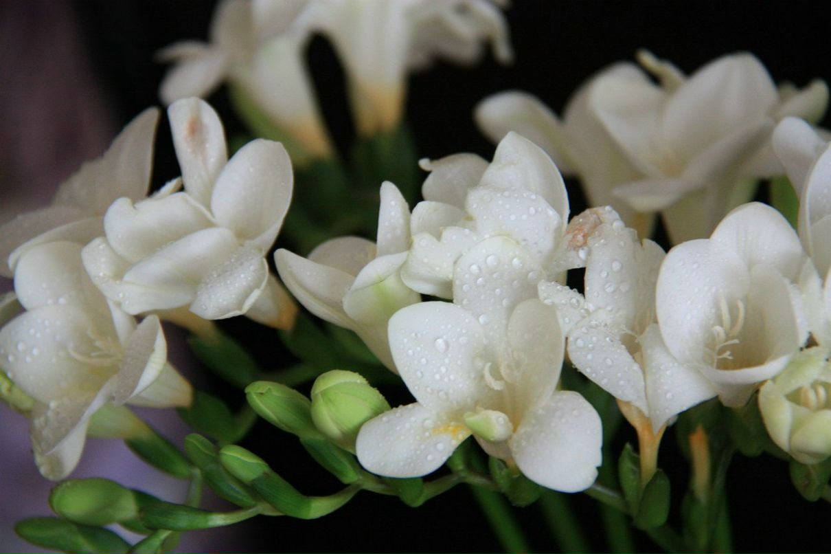 Виктория Большакова | Москва