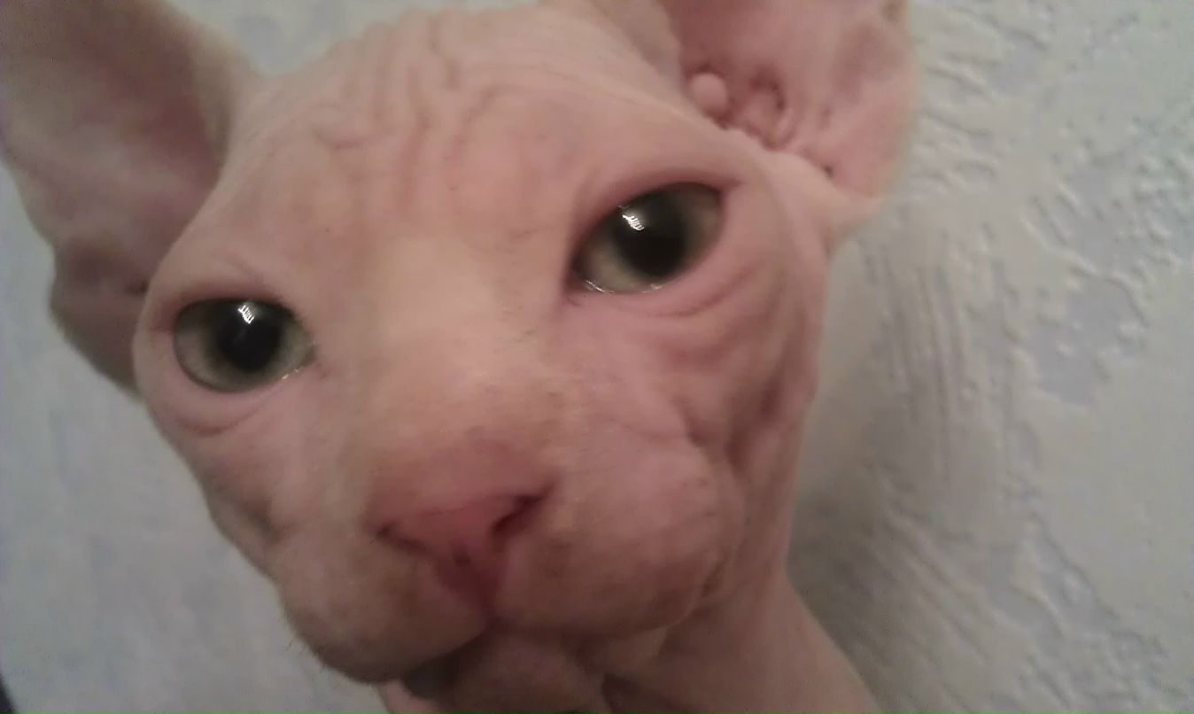 Лариса Петровская | Мурманск