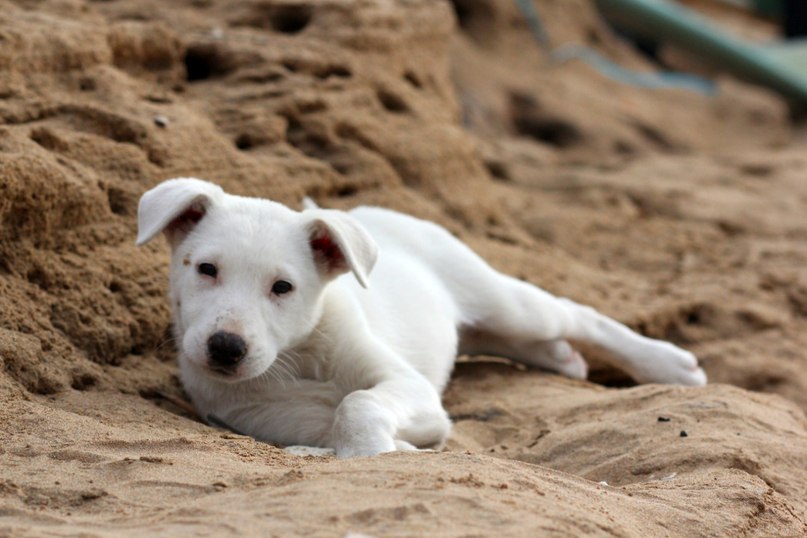 Олег Кравченко | Москва