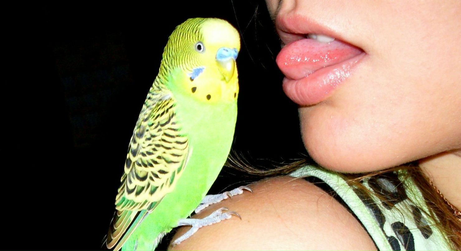 Григорий Кемяшов 429990341 | Москва