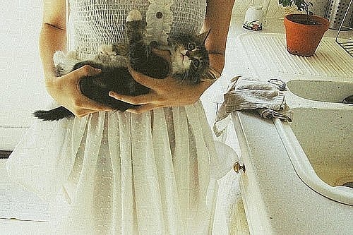 №10, Павла Сёмина-Гаврилова №10, Павла Сёмина-Гаврилова